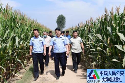 按住Ctrl键+鼠标滚轮缩放