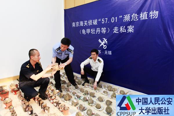 按住Ctrl键+鼠标滚轮缩放