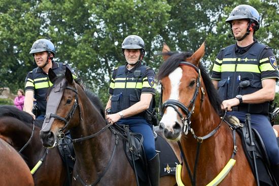 按住Ctrl键+鼠标滚轮缩放