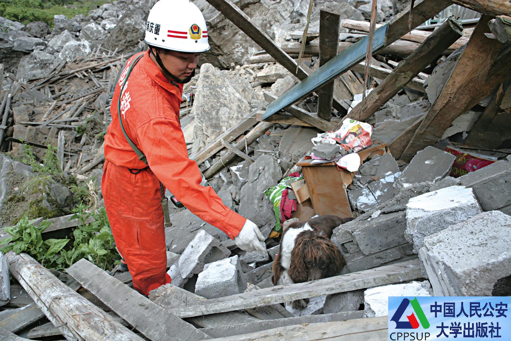 按住Ctrl键+鼠标滚轮缩放